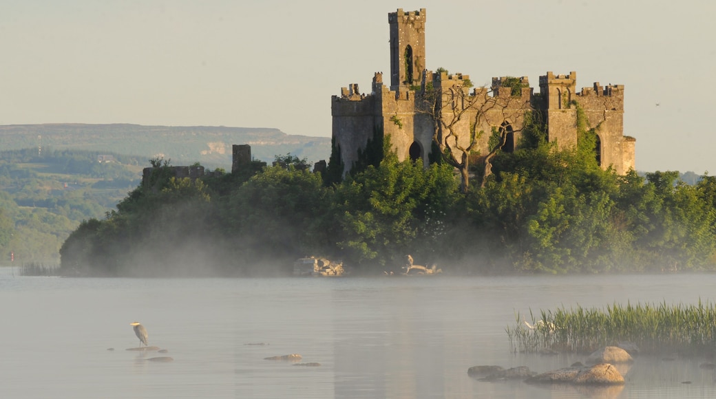 mc dermotts castle island at sunrise in summer, lough key lake, ireland