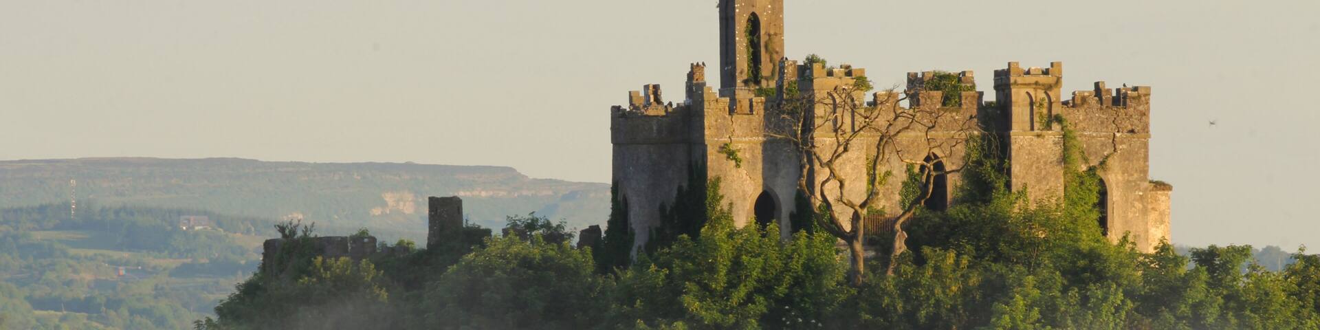 mc dermotts castle island at sunrise in summer, lough key lake, ireland