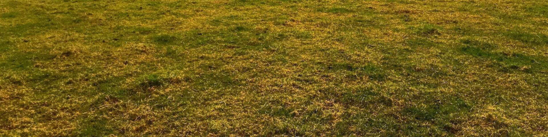 No one knows when these rocks were placed in their perfect circle, or why they were put there, but the mystery is part of what makes it extraordinary. #Green
#InStone
#outdoors
#ireland