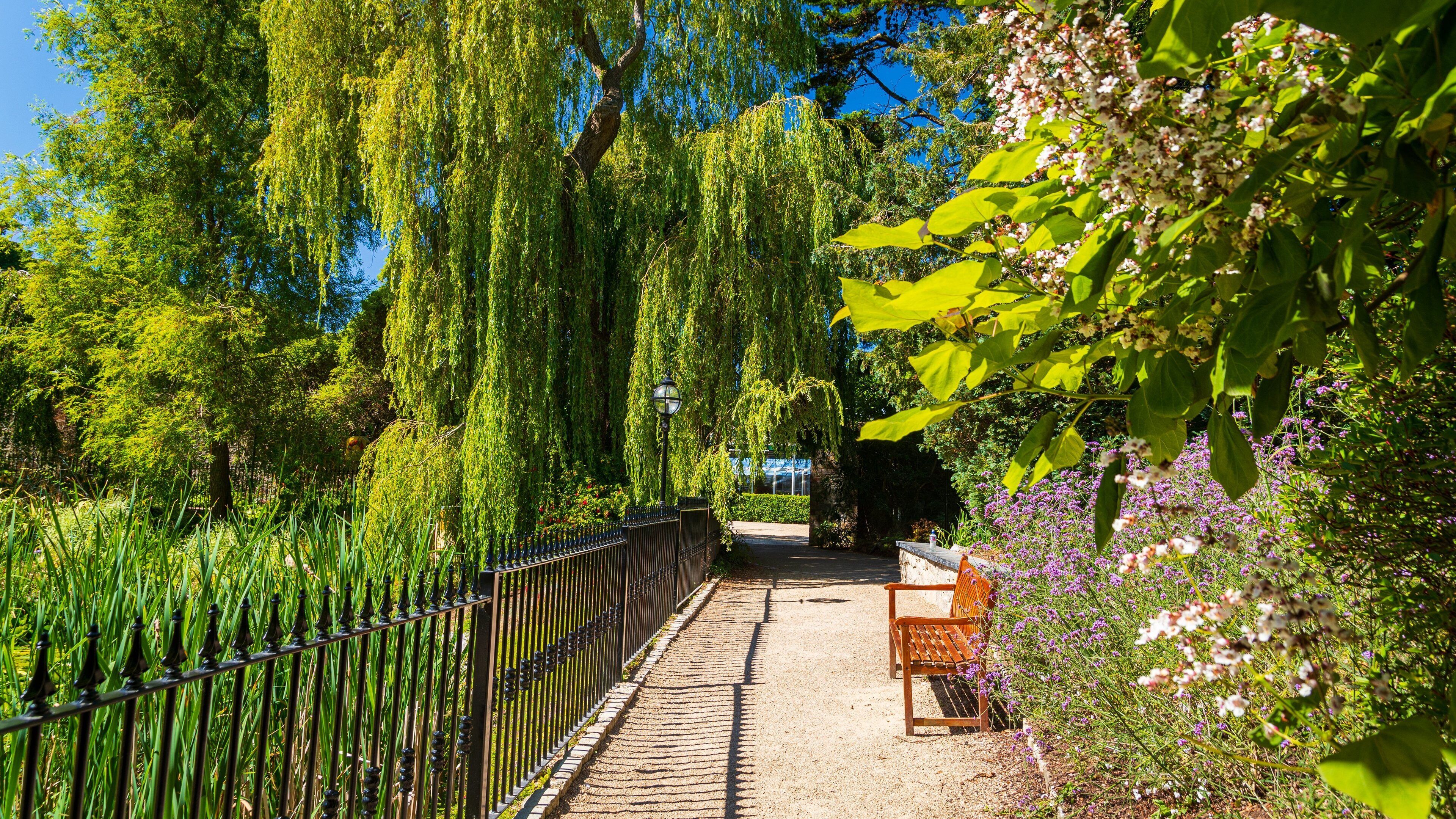 Malahide Castle which includes wildflowers and a park