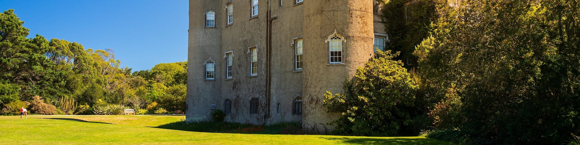 A large castle with multiple towers and windows, surrounded by lush green trees and grass.