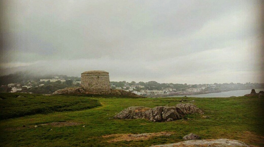 Old viking village #green