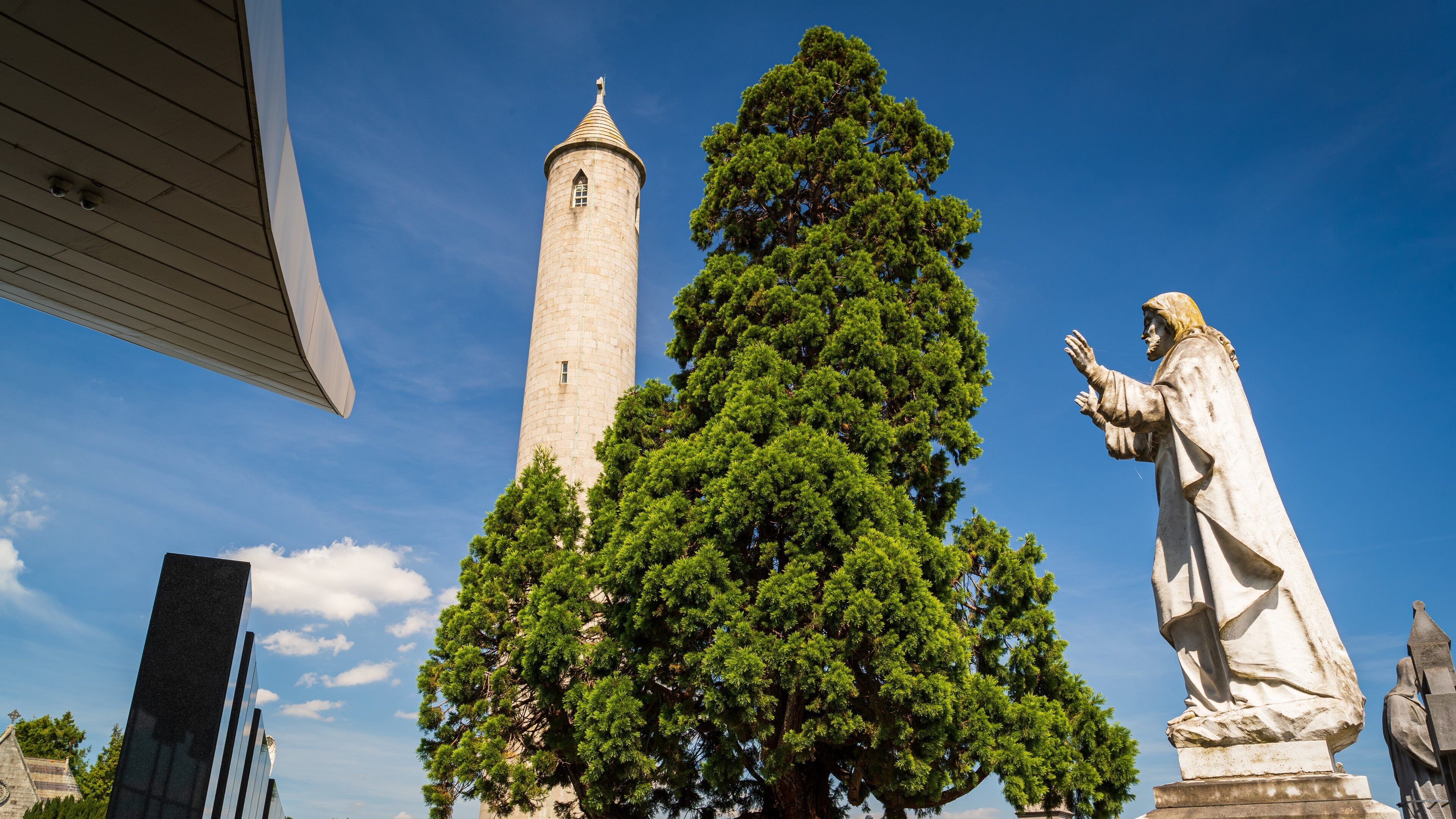 Glasnevin Cemetery showing a statue or sculpture