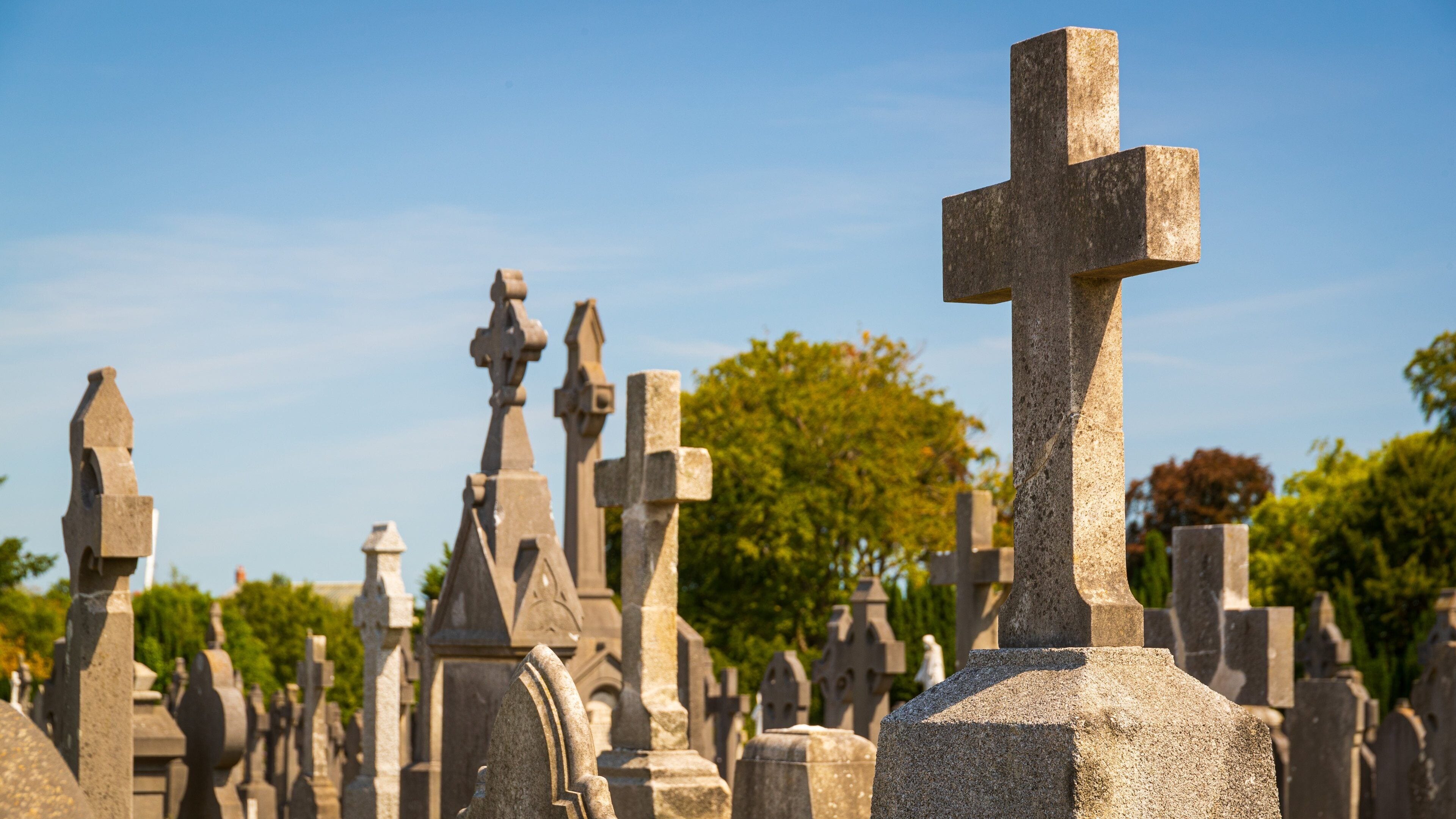 Glasnevin Cemetery showing a cemetery