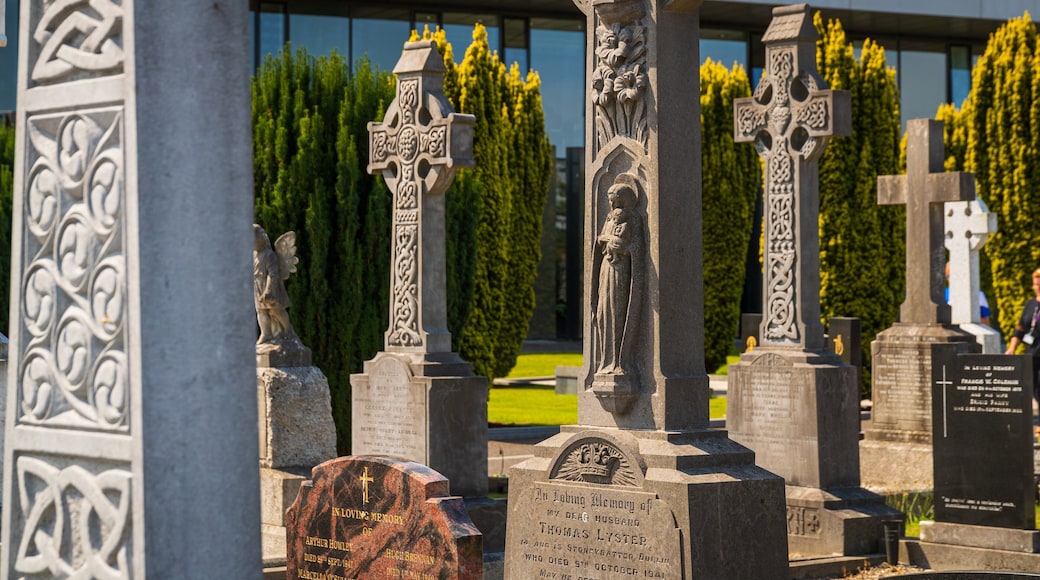 Glasnevin Cemetery featuring a cemetery