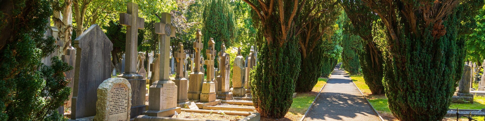Glasnevin Cemetery showing a cemetery