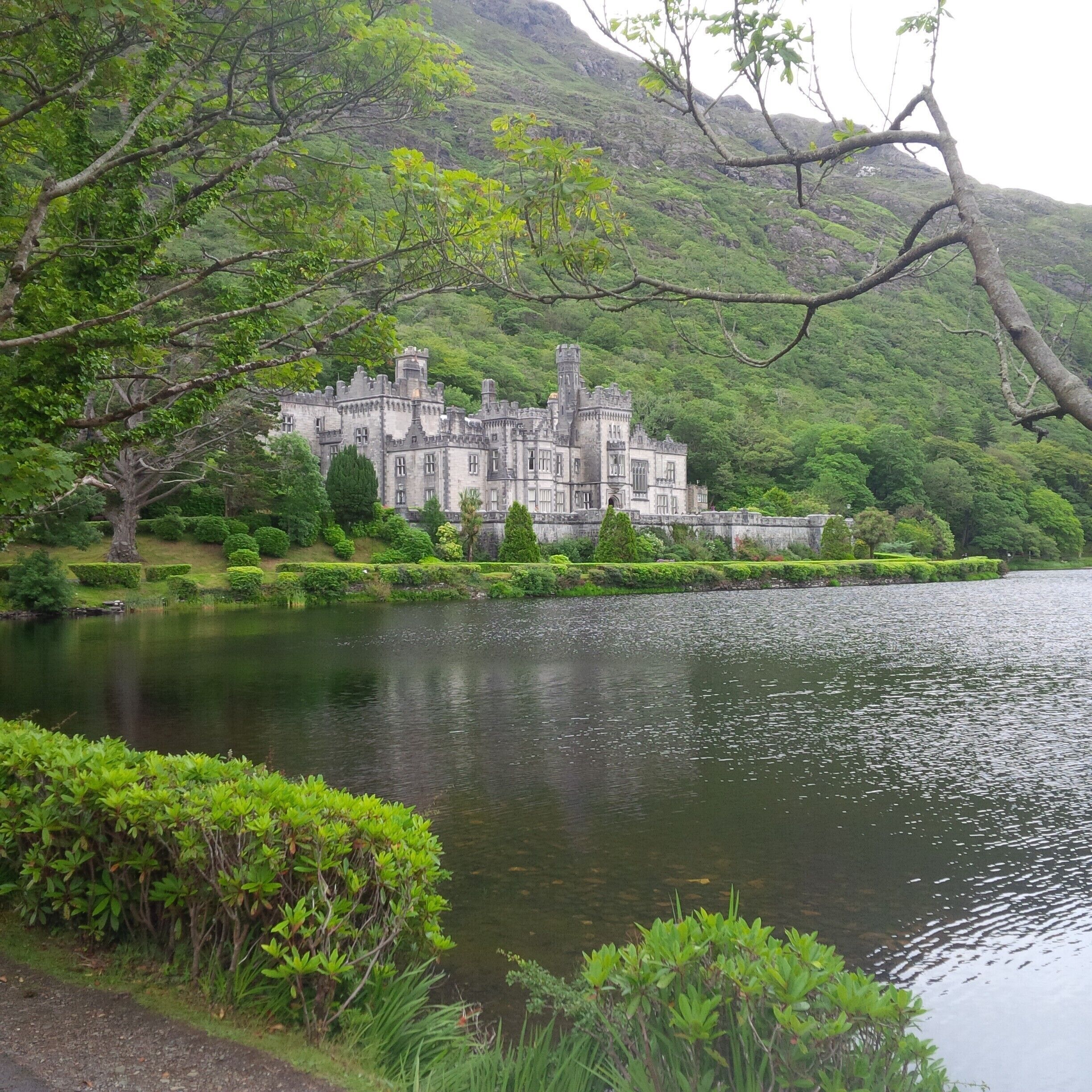 Irish road trips are one of the best things you can do, fresh air, relaxing and very very pretty, get a guided tour, you'll discover a lot of inside stories