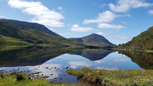 Just reflecting
#Trovember