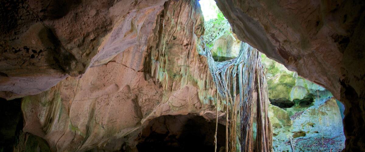 Green Grotto Caves which includes caves