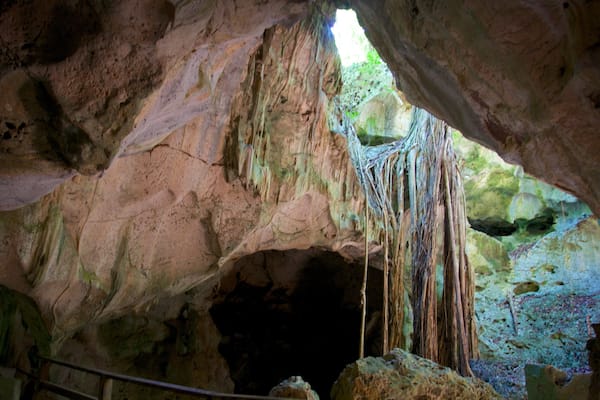 Green Grotto Caves welches beinhaltet Höhlen