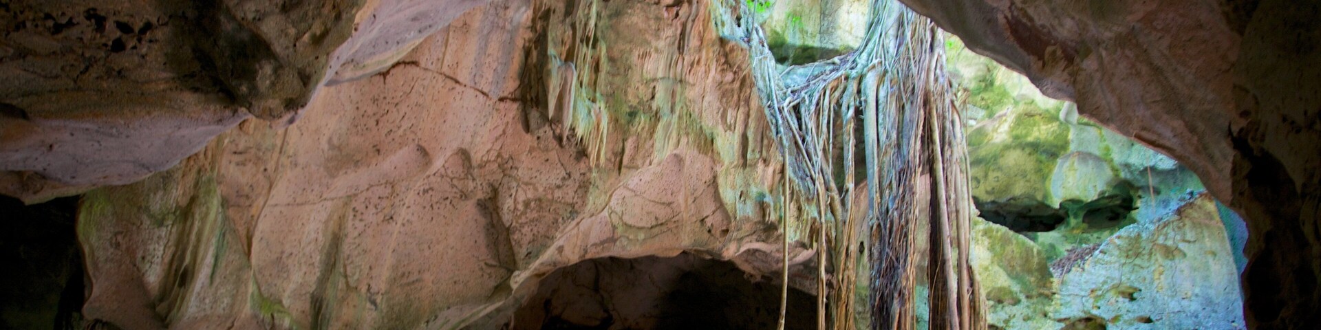 Green Grotto Caves which includes caves