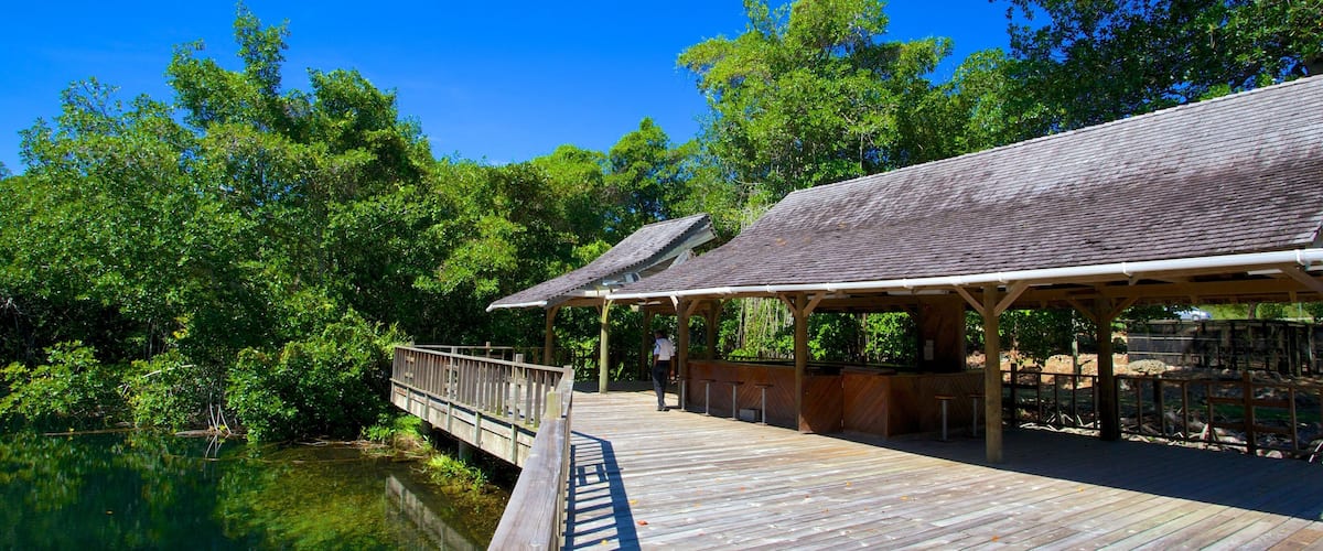 Cuevas Green Grotto mostrando bosques y un lago o abrevadero