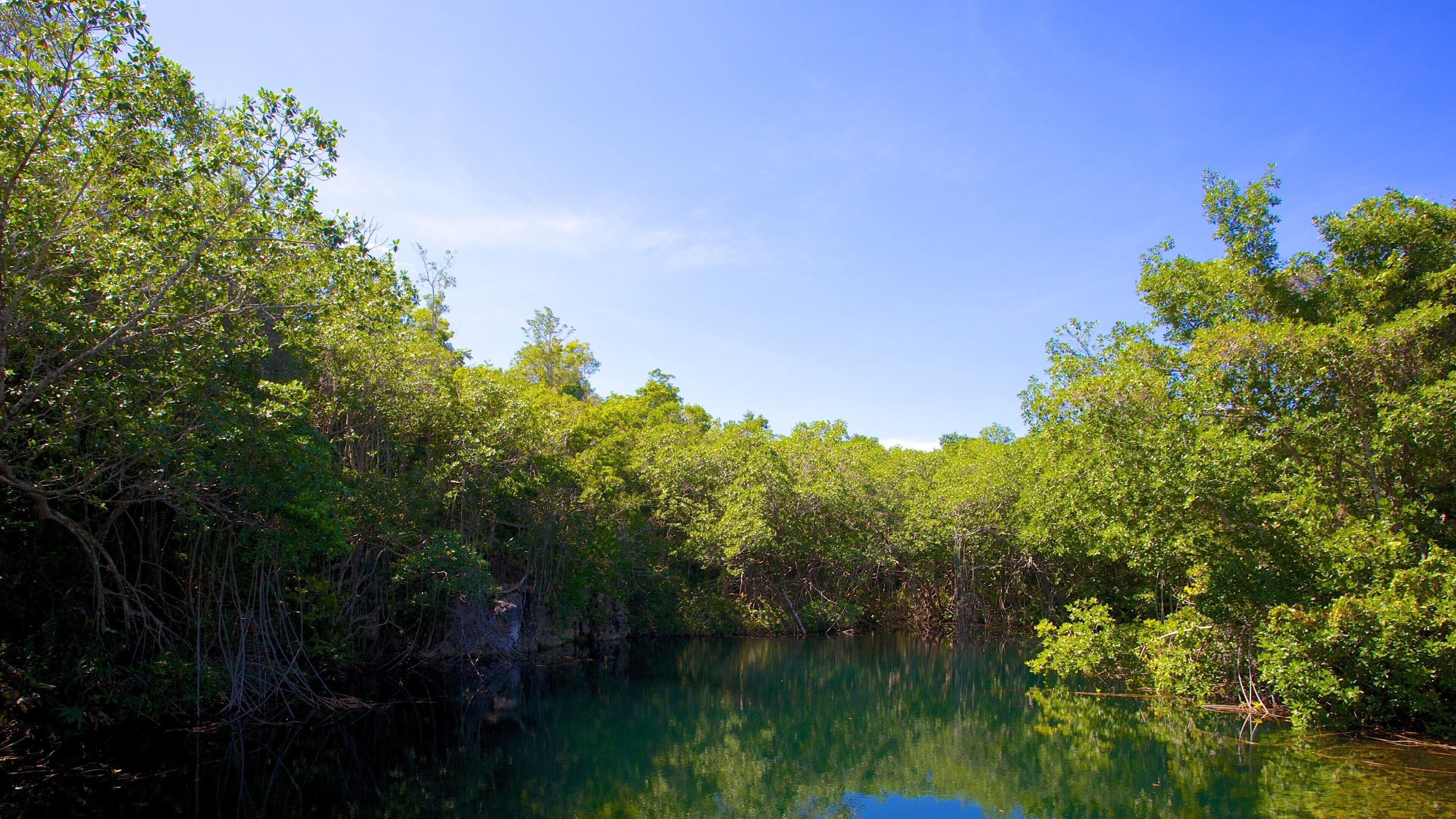 Green Grotto Caves showing a lake or waterhole and forest scenes