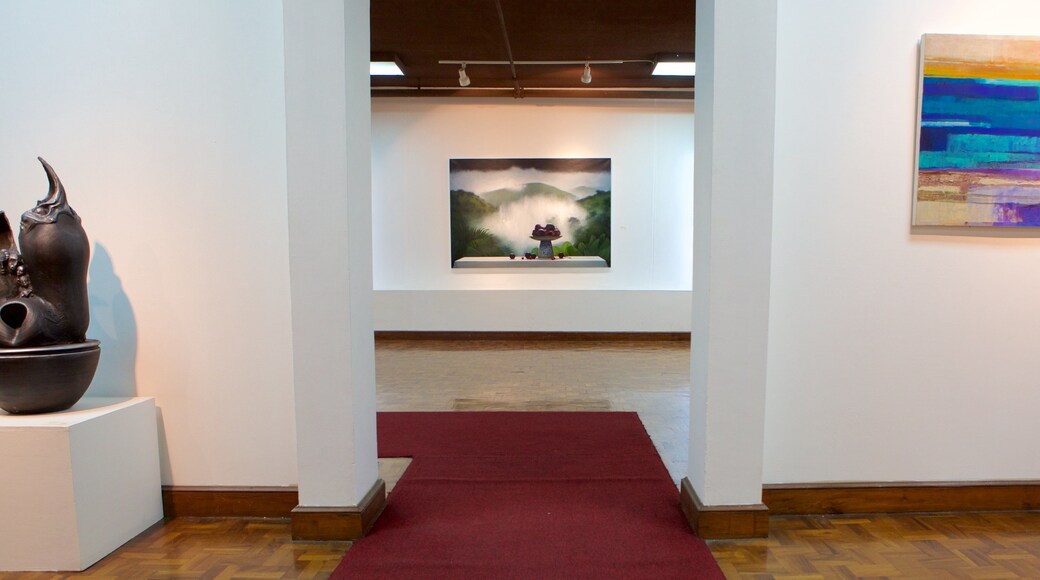 National Gallery of Jamaica which includes art and interior views