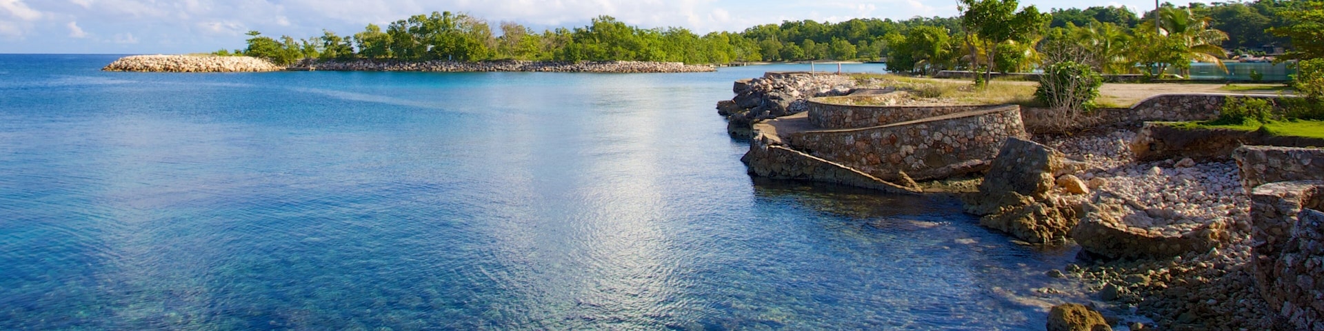 James Bond Beach showing rocky coastline and tropical scenes