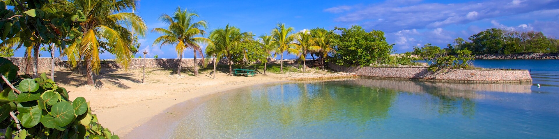 Una playa turquesa y transparente con palmeras y un muro de piedra.