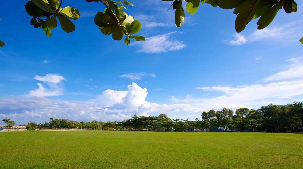 James Bond Beach which includes a park