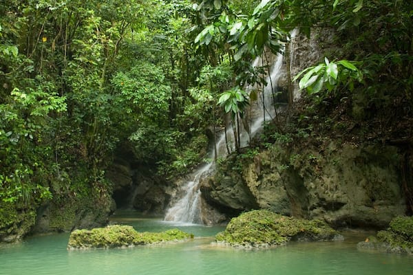 Somerset Falls which includes a waterfall, a river or creek and rainforest
