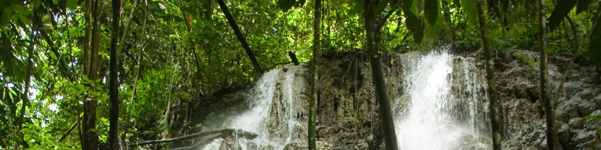 Somerset Falls which includes a waterfall and forests