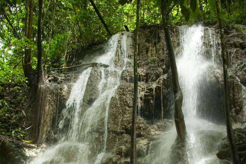 Une cascade d’eau se déversant sur une falaise rocheuse, le tout entouré d’un feuillage vert et luxuriant.