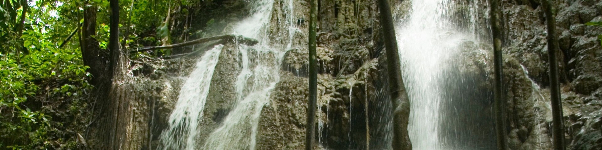 Somerset Falls mit einem Wasserfall und Waldmotive
