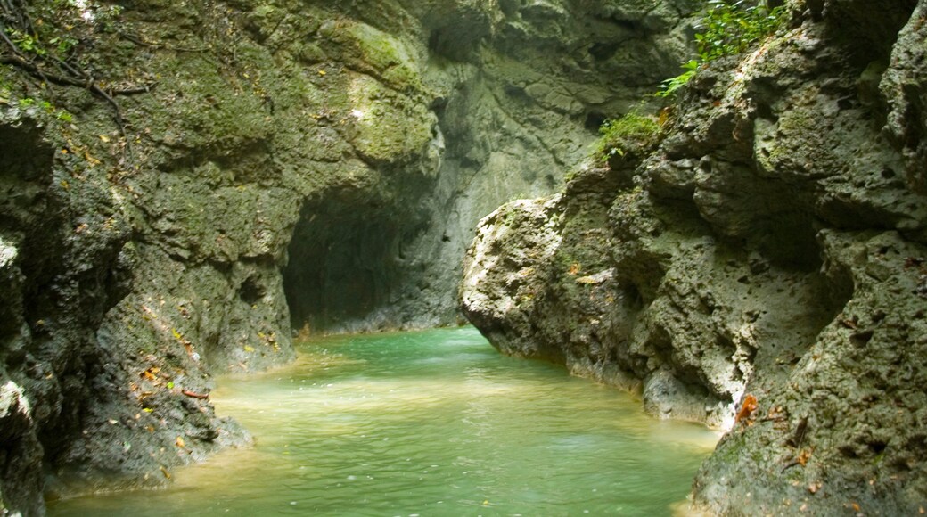 Somerset Falls showing caves and a river or creek