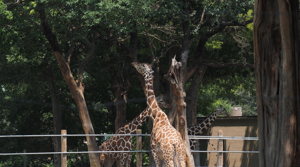 Topeka Zoological Park