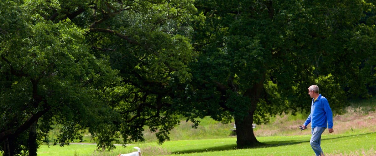Singleton Park featuring hiking or walking and a park as well as an individual male