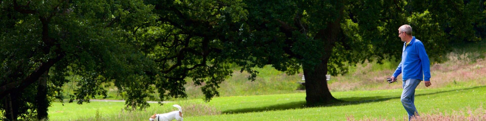 シングルトン パーク 表示 ハイキングあるいはウォーキング と 公園 及び 男性 (個人)