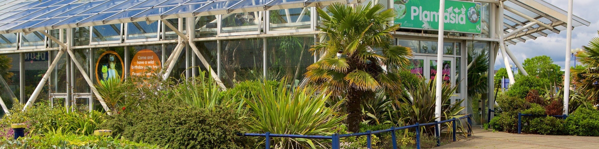 魔法植物園 其中包括 花園