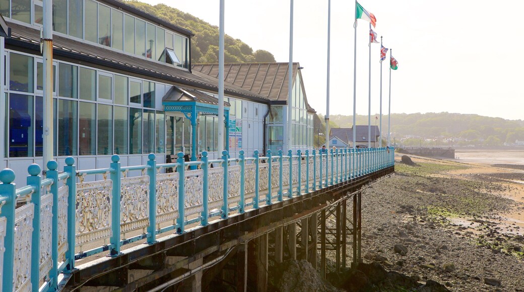 Mumbles Pier som omfatter en kystby, et hus og en stenstrand