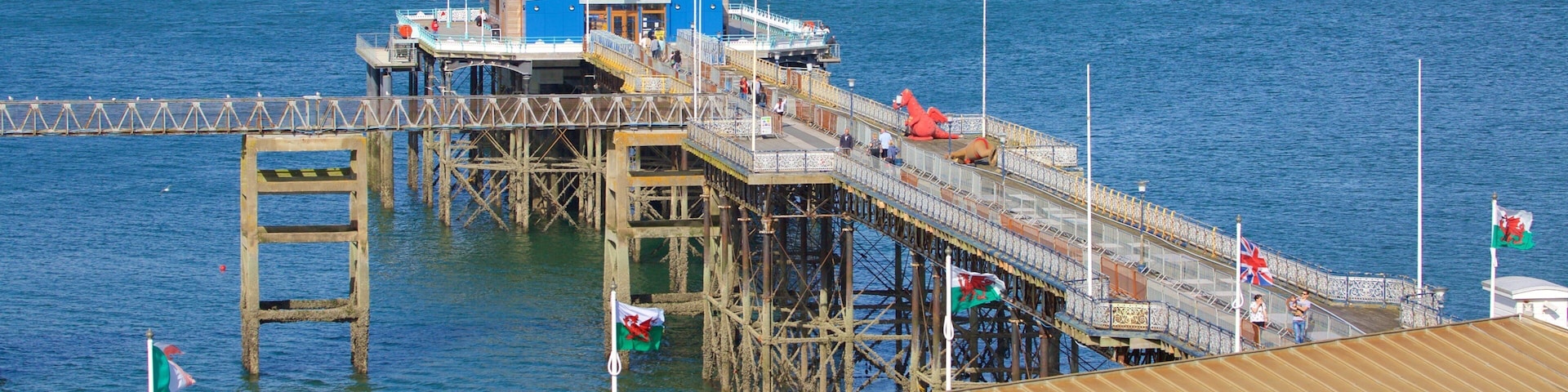 Mumbles Pier featuring general coastal views