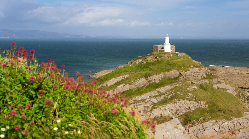 Mumbles Lighthouse showing mountains, general coastal views and a lighthouse