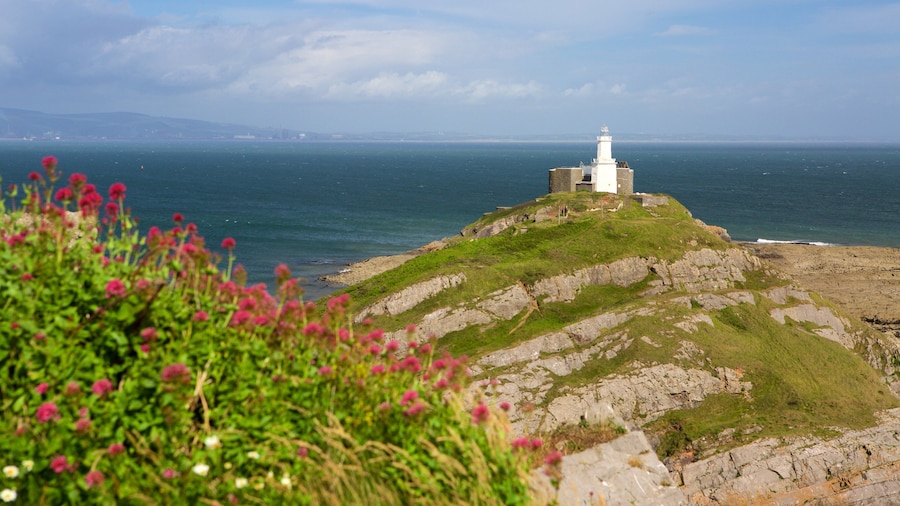 Mumbles Lighthouse showing mountains, general coastal views and a lighthouse