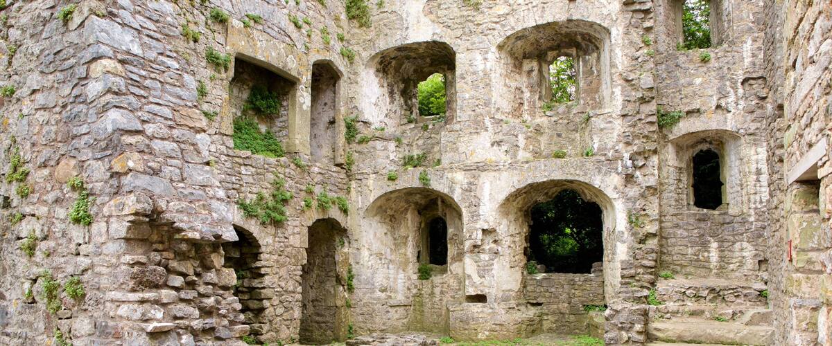 Oxwich Castle which includes a ruin, a castle and heritage elements