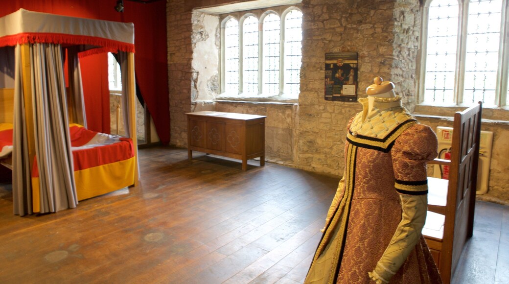 Oxwich Castle bevat interieur, historisch erfgoed en een kasteel
