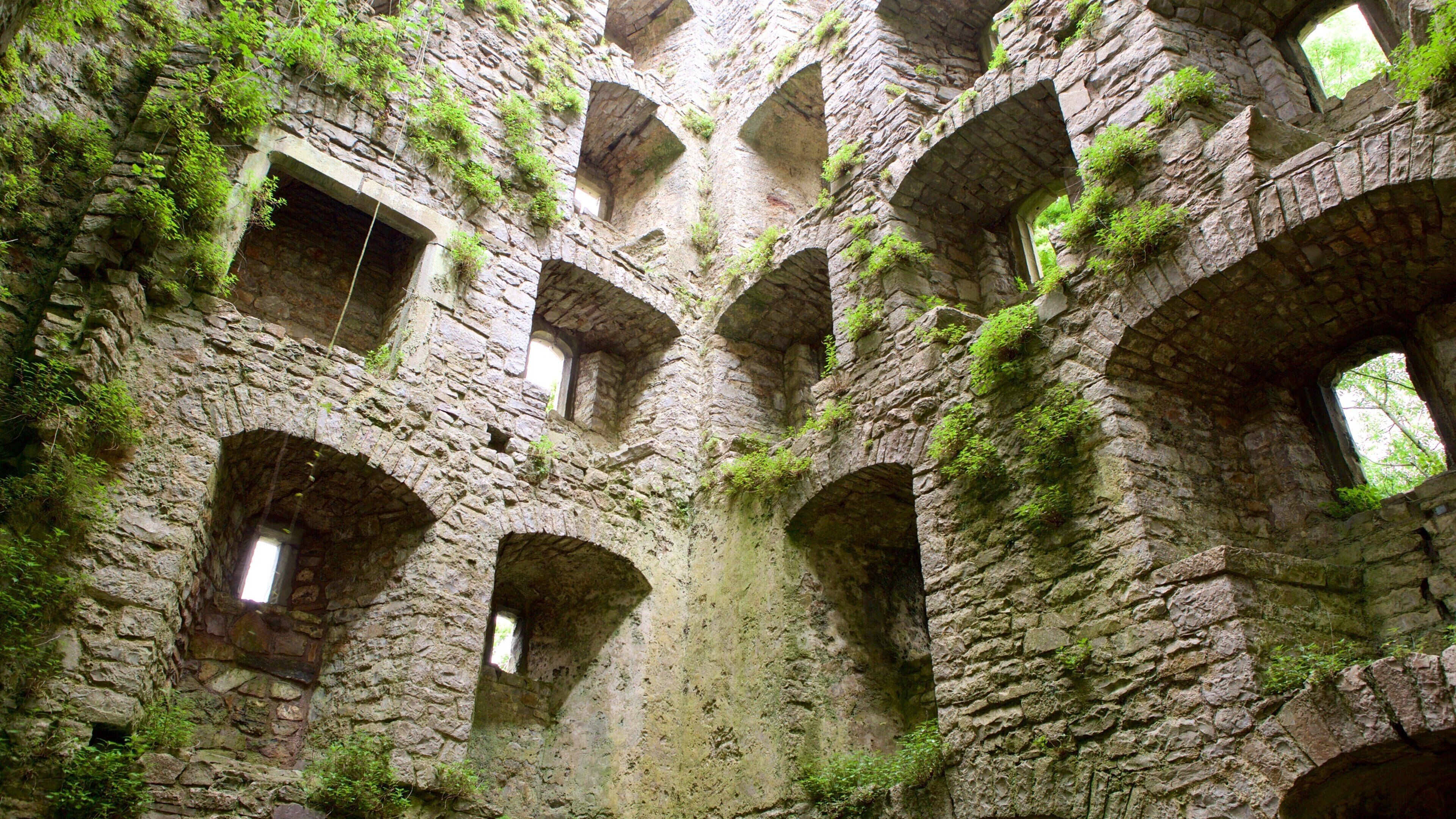 Oxwich Castle showing heritage elements, a castle and building ruins