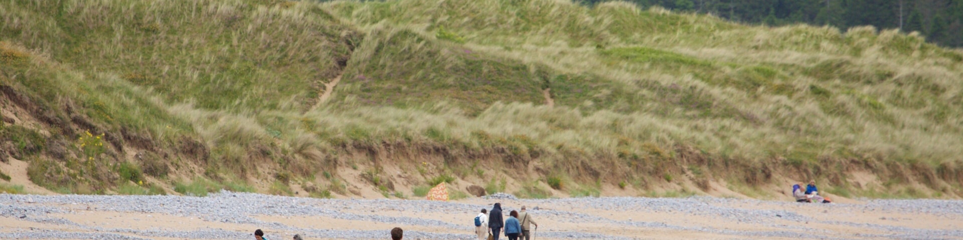 Oxwich Bay Beach caracterizando uma praia de areia assim como um pequeno grupo de pessoas