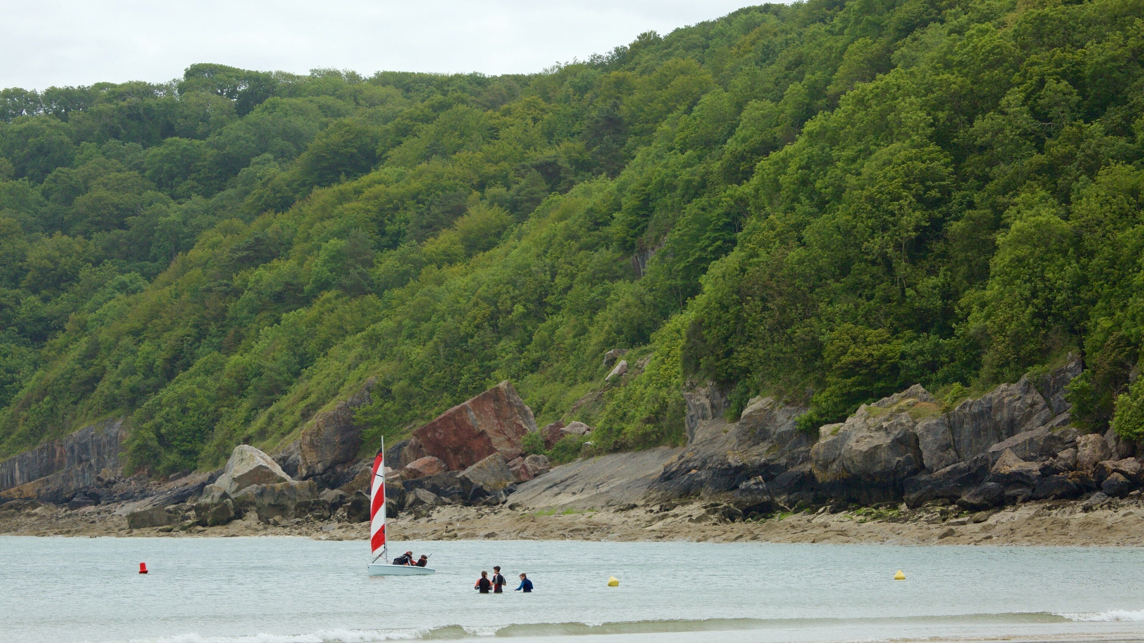 Oxwich Bay Beach which includes general coastal views and forests