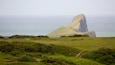 A coastal landscape with a prominent rock formation and lush greenery.