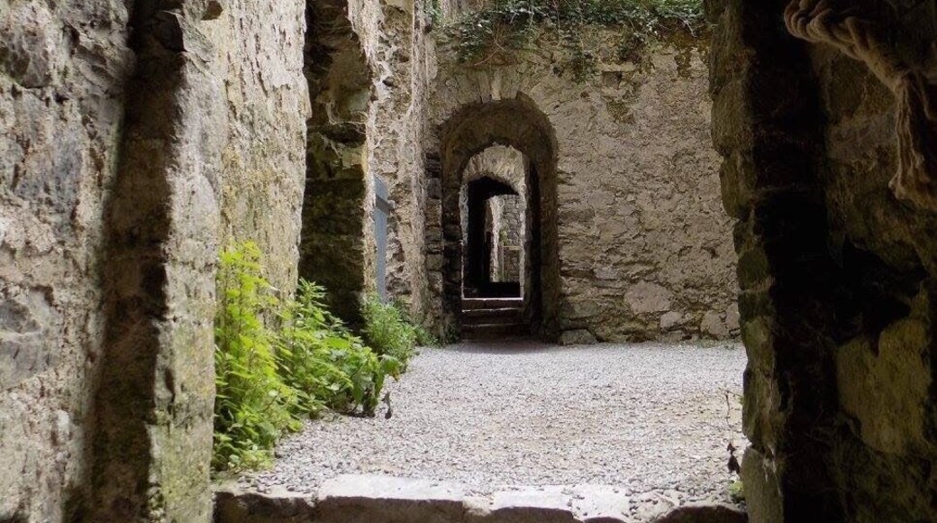 Carew Castle, Pembrokeshire, Wales, UK.
#Vacation #Holiday #Trip #Travel #Summer #Wales #Pembrokeshire #PembrokeshireCoast #NationalPark #Countryside #Seaside #Nature #Walking #Hiking #Outdoors #GetOutside #Exploring #Adventure #TheGreatOutdoors #WildPlaces #GreatBritain #BritainsBreathingSpaces