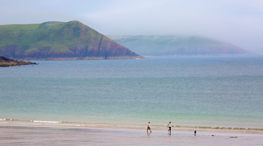 Freshwater East Beach which includes general coastal views, mist or fog and a sandy beach