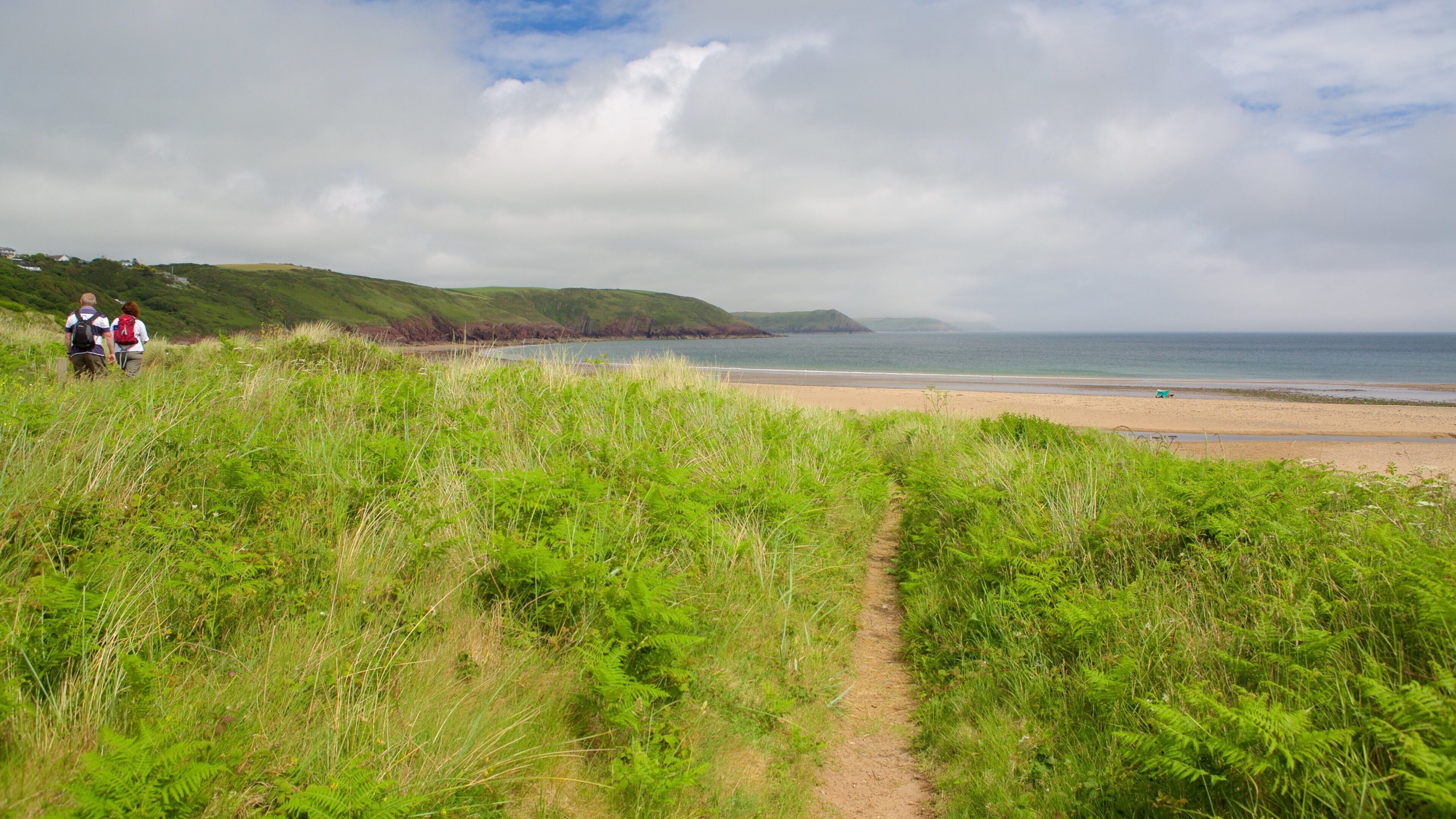 Plage de Freshwater East mettant en vedette vues littorales
