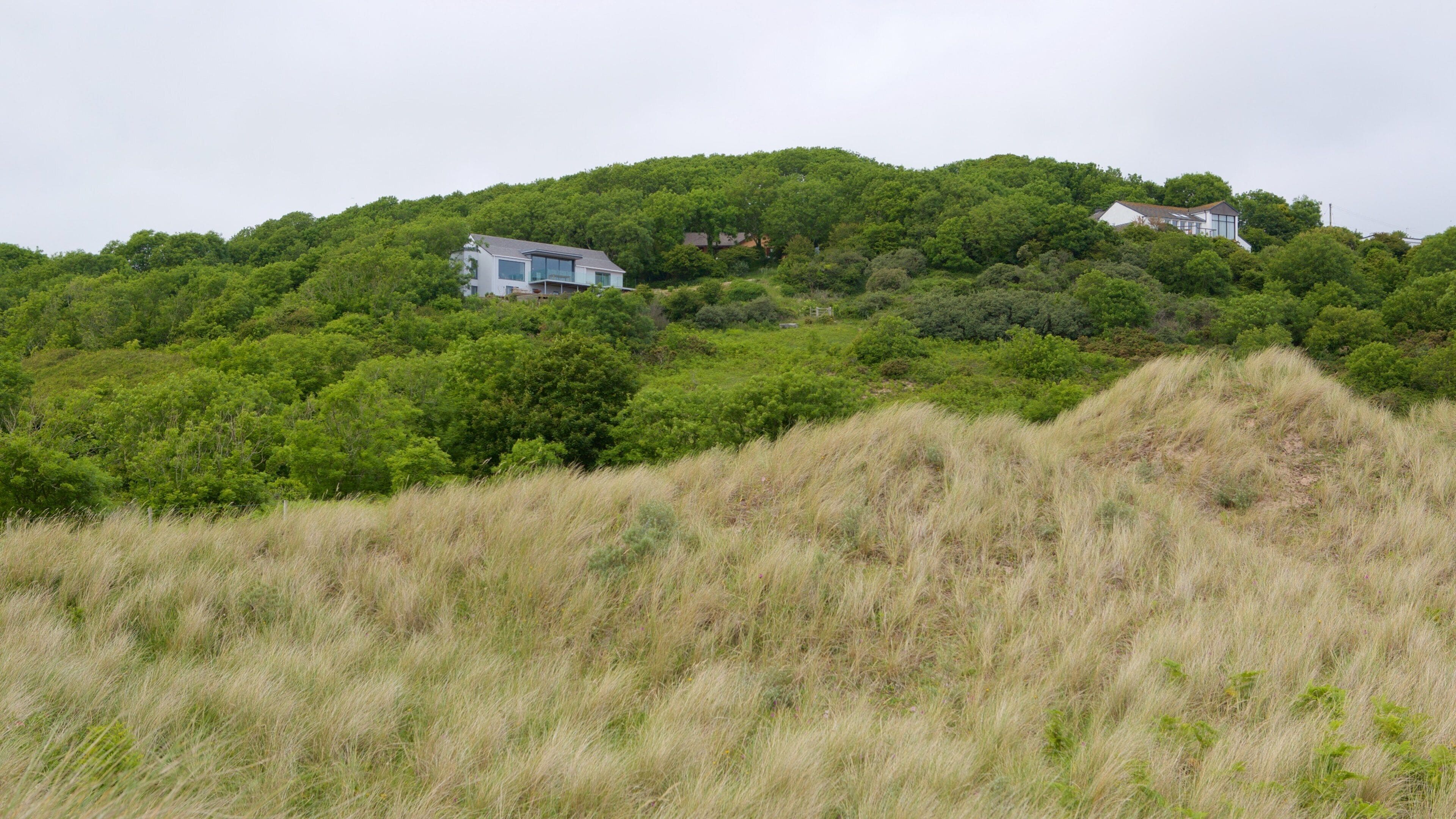 หาด Freshwater East แสดง ฟาร์ม