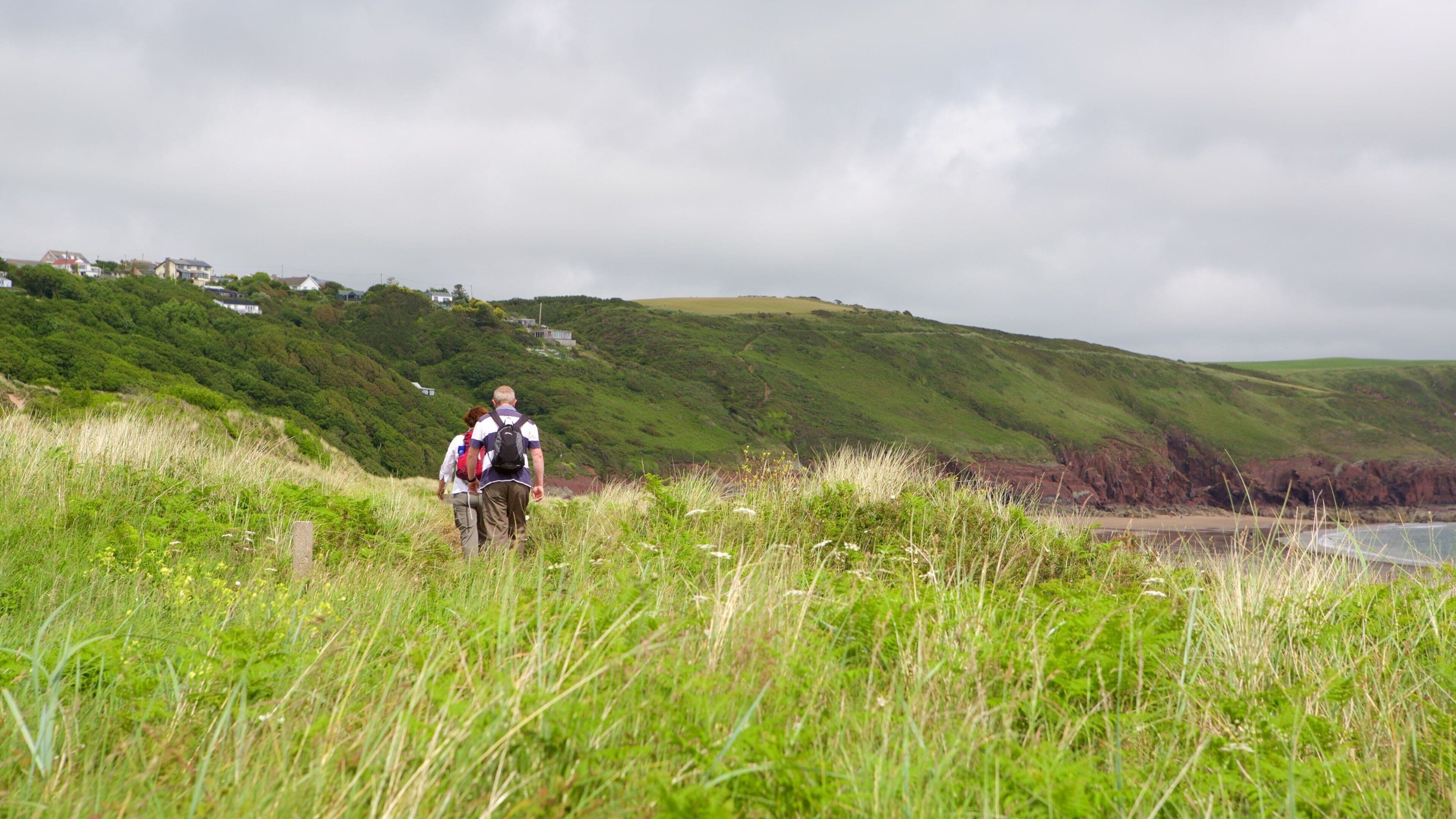 Freshwater East Beach which includes general coastal views and hiking or walking