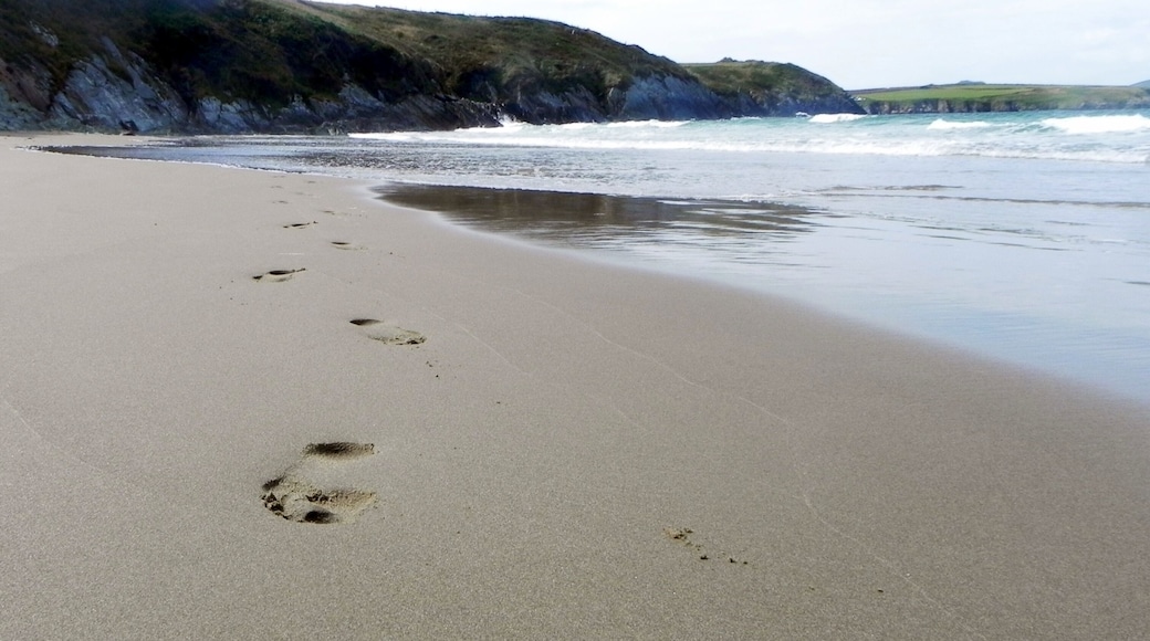 Footsteps
An early morning stroll and the first ones on the beach. A beautiful place to enjoy some time with a bucket and spade!
Alternatively, why not try one of the dolphin & seal watching boat trips that leave from close by.
#Lifeatexpedia #Beach