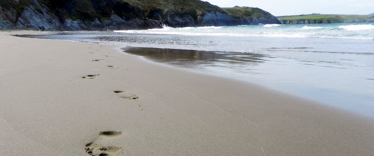 Footsteps
An early morning stroll and the first ones on the beach. A beautiful place to enjoy some time with a bucket and spade!
Alternatively, why not try one of the dolphin & seal watching boat trips that leave from close by.  
#Lifeatexpedia #Beach