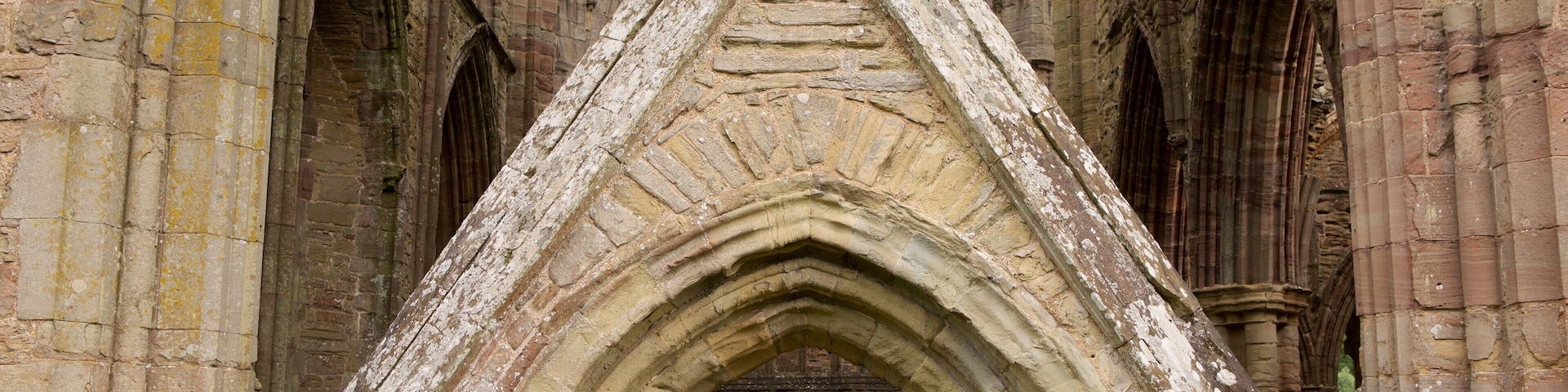 Tintern Abbey mostrando arquitetura de patrimônio, elementos de patrimônio e um pequeno castelo ou palácio