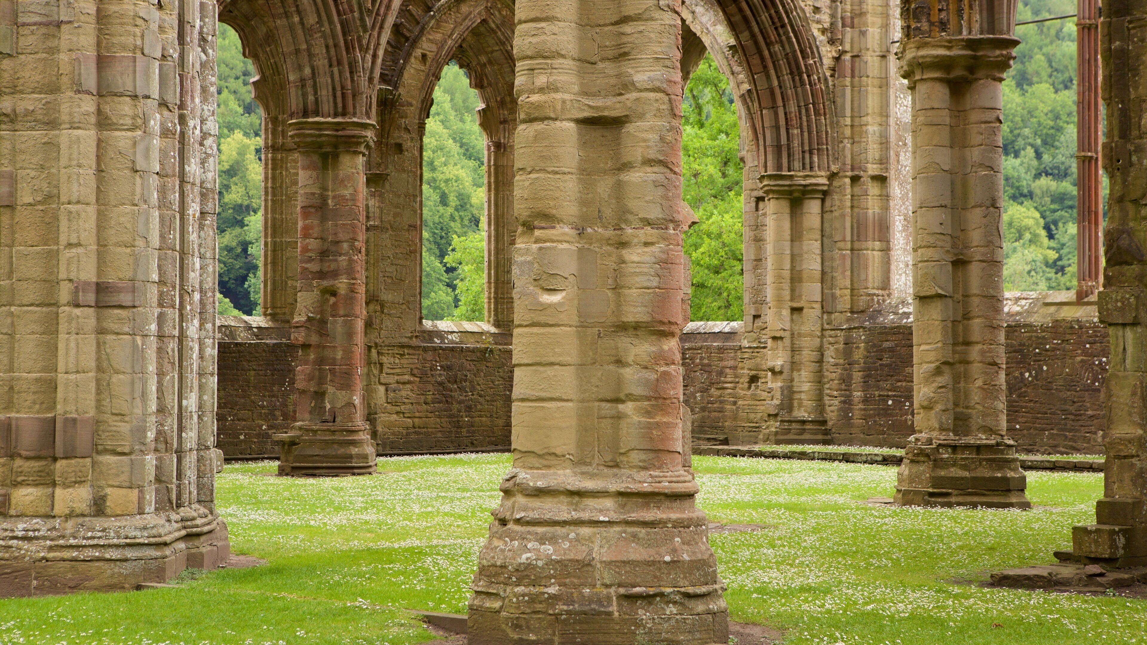 Tintern Abbey showing heritage elements, a castle and heritage architecture