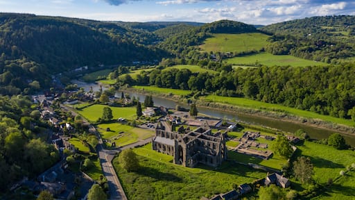 Tintern